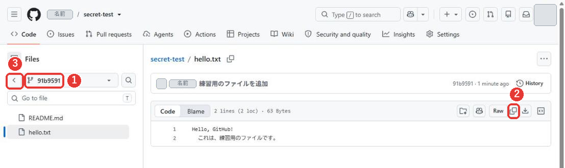 前のバージョンのhello.txtのページ。左上のブランチの欄が91b9591になっている。上の行は、練習用のファイルを追加。内容はHello, GitHub!とこれは、練習用のファイルです。右上の並びにはRaw、コピー、ダウンロードのアイコンがあり、えんぴつはない。ブランチの欄と、コピーのアイコンに赤い枠がついている