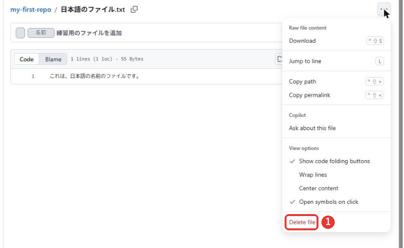 三つの点を押して開いたメニュー。Downloadなどの項目の一番下に、赤い文字のDelete fileがあり、赤い枠がついている